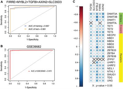 Analysis of 5-Methylcytosine Regulators and DNA Methylation-Driven Genes in Colon Cancer